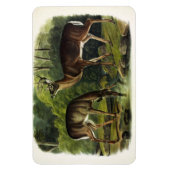 Magnet Flexible Common Deer (Vertical)