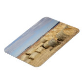 Magnet Flexible Comté de Crook, Balles de foin (Côté Gauche)