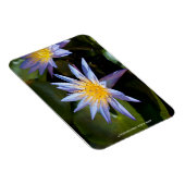 Magnet Flexible Conception botanique florale de nénuphar tropical (Côté Droit)