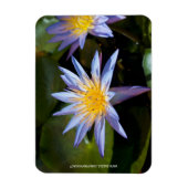 Magnet Flexible Conception botanique florale de nénuphar tropical (Vertical)