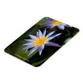 Magnet Flexible Conception botanique florale de nénuphar tropical (Côté Gauche)