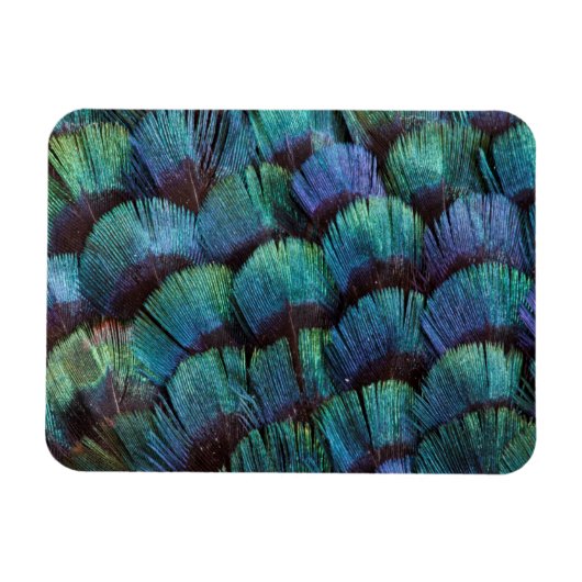 Magnet Flexible Conception de plume de faisan bleu-vert (Horizontal)