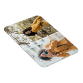 Magnet Flexible Concevez votre propre collection photo 2 (Côté Droit)