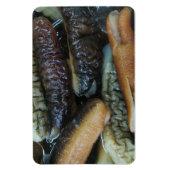 Magnet Flexible Concombre de mer ... Nourriture du marché du Yaowa (Vertical)