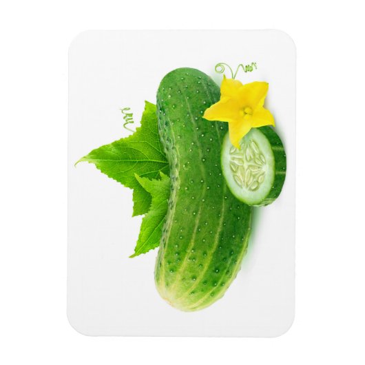 Magnet Flexible Concombre frais (Vertical)