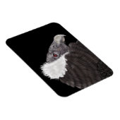 Magnet Flexible Condor andin illustré (Côté Droit)