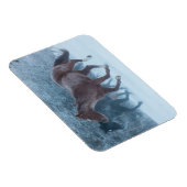 Magnet Flexible Conduite de chevaux (Côté Droit)