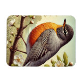 Magnet Flexible Connecticut State Bird American Robin (Horizontal)