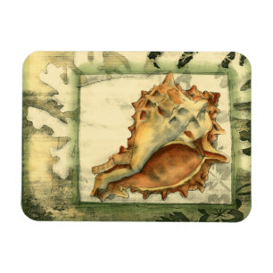 Magnet Flexible Conque Shell de silhouette