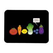 Magnet Flexible Conserver sa couleur (conception simple) (Horizontal)