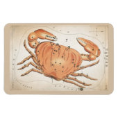 Magnet Flexible Constellation du cancer (Horizontal)