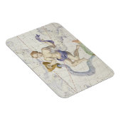 Magnet Flexible Constellation of Aquarius, plate 9 from 'Atlas Coe (Côté Droit)