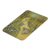 Magnet Flexible Contes (Côté Gauche)