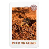 Magnet Flexible Continuer à aller Motivational coddiwompling Torto (Vertical)