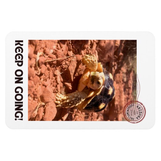 Magnet Flexible Continuez à aller Inspirational Coddiwompling Turt (Horizontal)