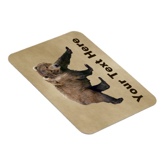 Magnet Flexible Cook bear (Côté Droit)