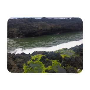 Magnet Flexible Cook's Chasm, cap Perpetua, Oregon