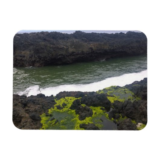 Magnet Flexible Cook's Chasm, cap Perpetua, Oregon (Horizontal)