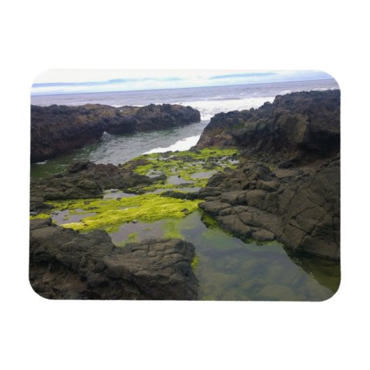 Magnet Flexible Cook's Chasm, cap Perpetua, Oregon (Horizontal)