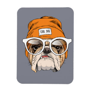Magnet Flexible Cool Hipster Bulldog