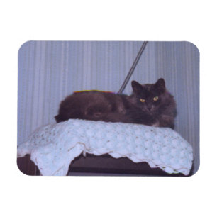 Magnet Flexible Cool Nebelung
