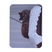 Magnet Flexible Cool Nebelung (Vertical)