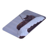 Magnet Flexible Cool Nebelung (Côté Gauche)