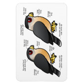 Magnet Flexible Coop v Sharpie (Vertical)