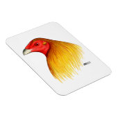 Magnet Flexible Coq de Combat Ébarbé (Côté Droit)