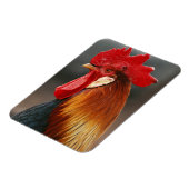 Magnet Flexible Coq domestique de basse-cour (Côté Gauche)