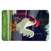 Magnet Flexible Coq géant (Horizontal)