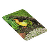 Magnet Flexible Coq jaune et vert (Côté Droit)