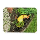 Magnet Flexible Coq jaune et vert (Horizontal)