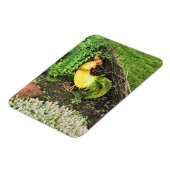 Magnet Flexible Coq jaune et vert (Côté Gauche)