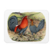 Magnet Flexible Coqs américains bleus rouges (Horizontal)