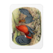 Magnet Flexible Coqs américains bleus rouges (Vertical)