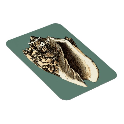 Magnet Flexible Coque conique turquoise (Côté Droit)