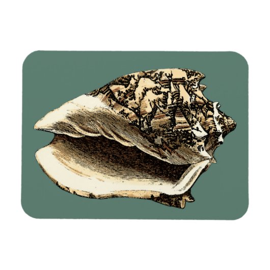 Magnet Flexible Coque conique turquoise (Horizontal)