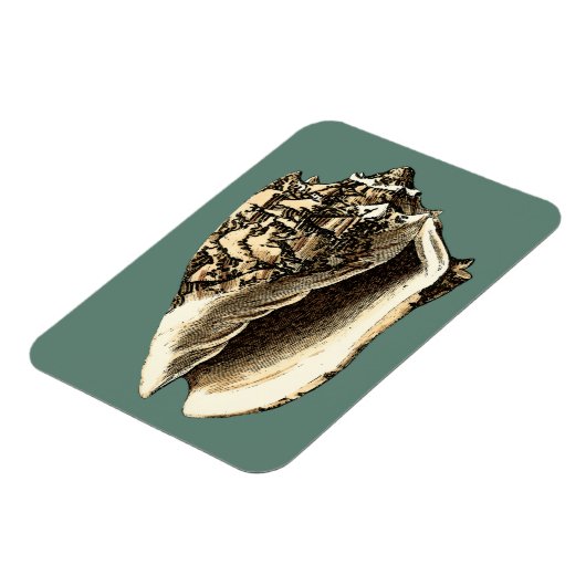 Magnet Flexible Coque conique turquoise (Côté Gauche)