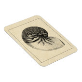 Magnet Flexible Coque conique vintage noire et blanche (Côté Droit)