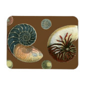 Magnet Flexible Coque de cacao (Horizontal)