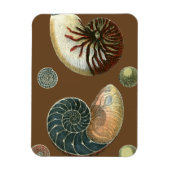 Magnet Flexible Coque de cacao (Vertical)