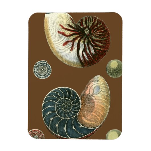 Magnet Flexible Coque de cacao (Vertical)