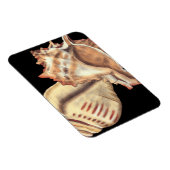 Magnet Flexible Coques de conques artistiques (Côté Droit)