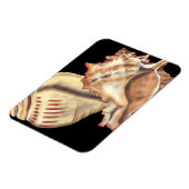 Magnet Flexible Coques de conques artistiques (Côté Gauche)