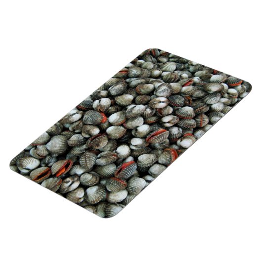 Magnet Flexible Coques de coques de sang (Côté Gauche)