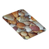 Magnet Flexible Coques de mer (Côté Droit)