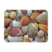Magnet Flexible Coques de mer (Horizontal)