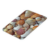 Magnet Flexible Coques de mer (Côté Gauche)