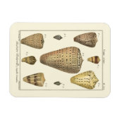 Magnet Flexible Coques vintages (Horizontal)